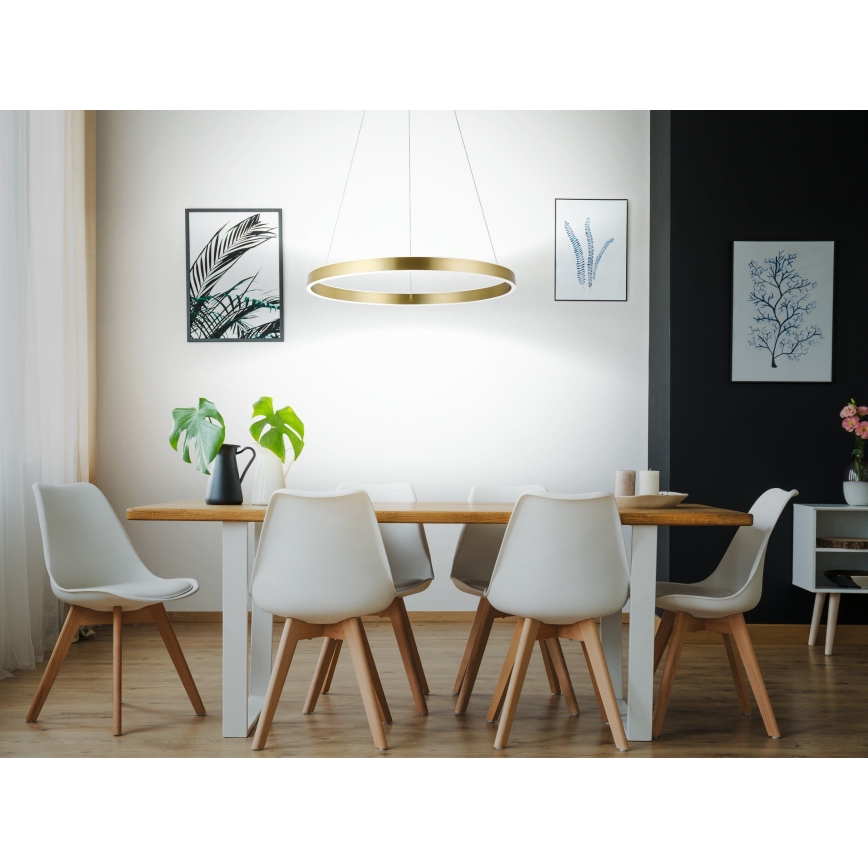 Eglo 33484 - ALCAZABA LED-rippvalgusti kaablil, 2×LED, 18 W, 230 V, 3000 K, läbimõõt 55 cm, kuldne