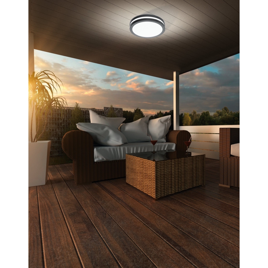 Eglo 33571 - LED-hämardatav vannitoa laevalgusti LOCANA-C LED/14W/230V IP44 antratsiit