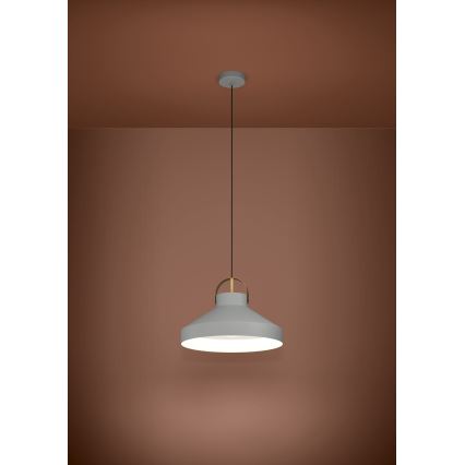 Eglo - Lühter 1xE27/40W/230V hall