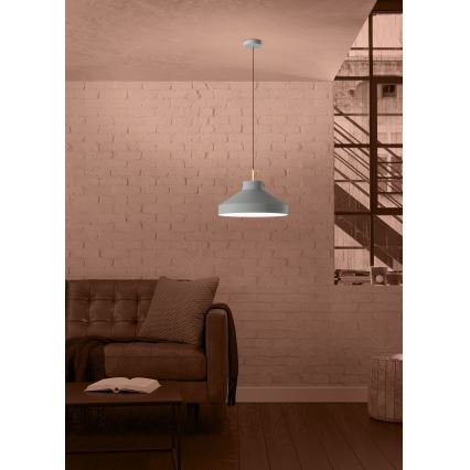 Eglo - Lühter 1xE27/40W/230V hall