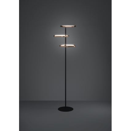 Eglo - Hämardatav LED-põrandalamp LED/20W/230V 2200-6500K messing