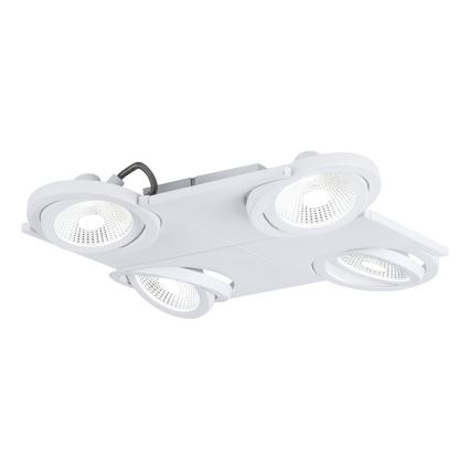 Eglo 39136 - LED-kohtvalgusti BREA 4xLED/5W/230V/12V