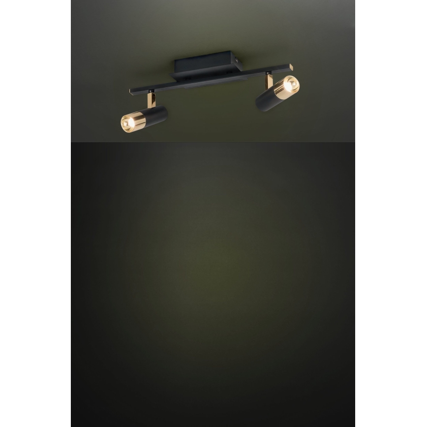 Eglo - LED-kohtvalgusti  2xLED/5W/230V/12V