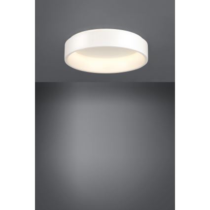 Eglo - LED Hämardatav laevalgusti 1 LED/35,2W/230V