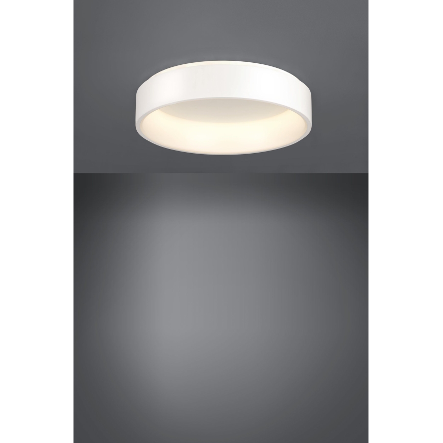 Eglo - LED Hämardatav laevalgusti 1 LED/35,2W/230V