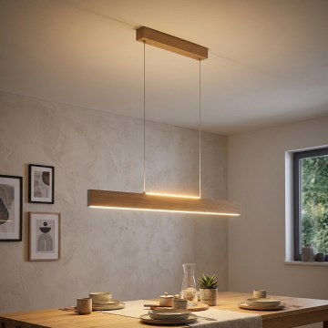 Eglo 39344 - LED-rippvalgusti kaabliga CLIMENE LED/17W/230V + LED/4,2W tamm