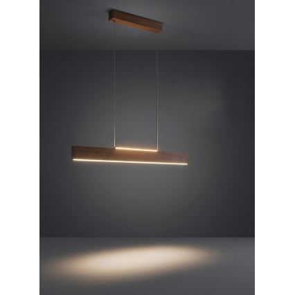 Eglo - LED hämardatav rippvalgusti kaablil LED/21W/230V + LED/8,4W pähkel