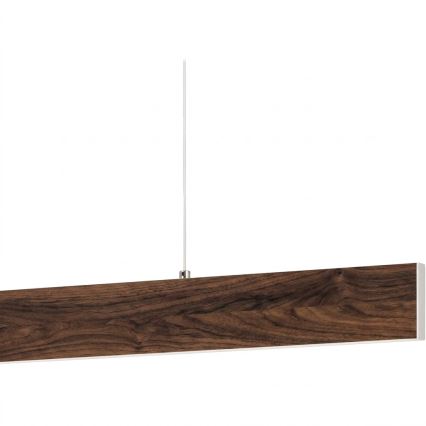Eglo - LED hämardatav rippvalgusti kaablil LED/21W/230V + LED/8,4W pähkel