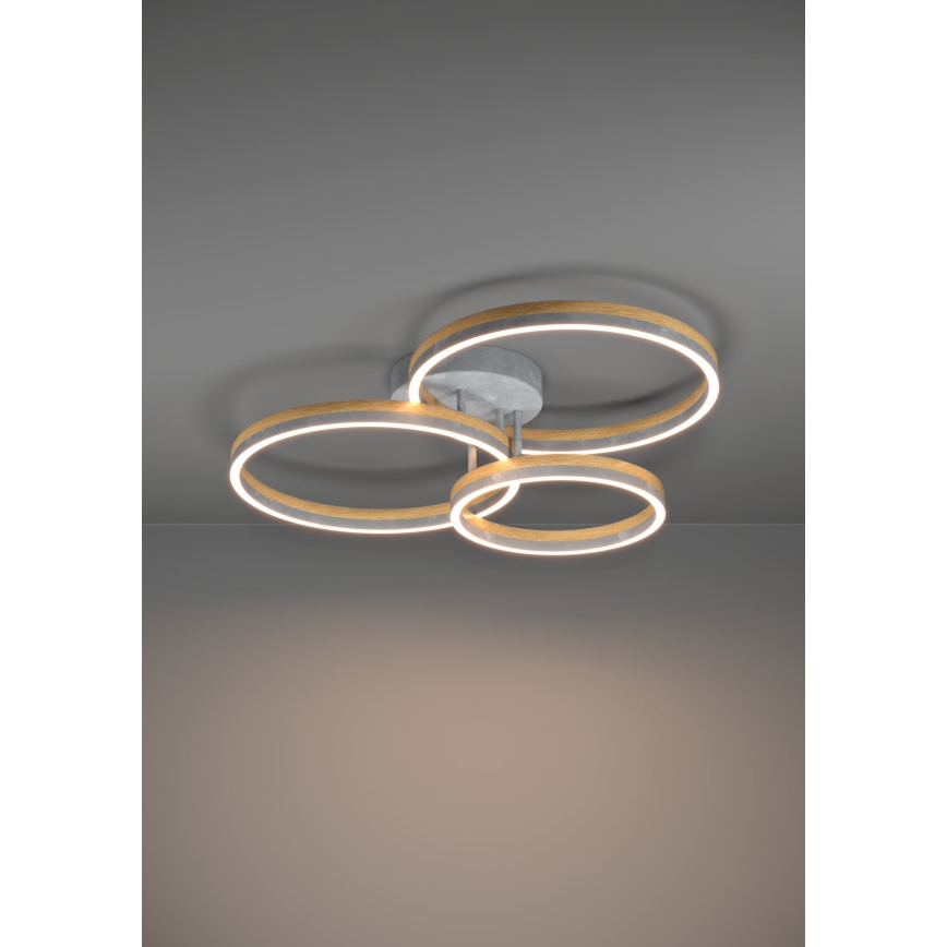 Eglo - LED Hämardatav pinnale kinnitatav lühter LED/12,5W/230V + 2xLED/15,5W 3000K hall/tamm