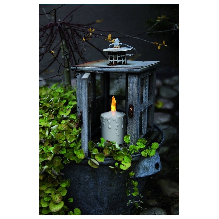 Eglo - LED jõulukaunistus LED/0,06W/2xAA