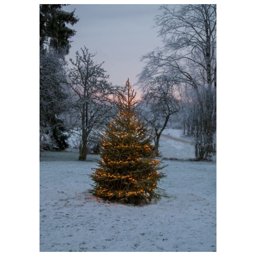 Eglo - LED Väli jõuluteemaline valguskett 1200xLED 24m IP44 soe valge