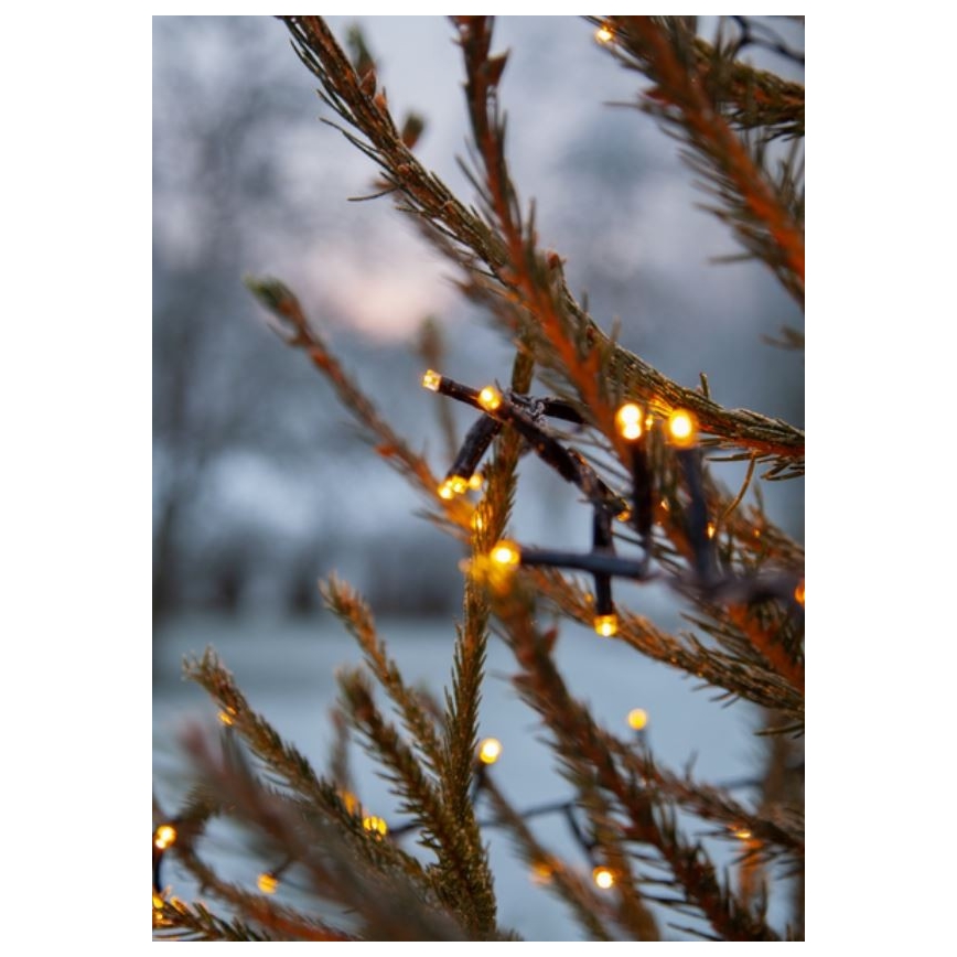 Eglo - LED Väli jõuluteemaline valguskett 1200xLED 24m IP44 soe valge