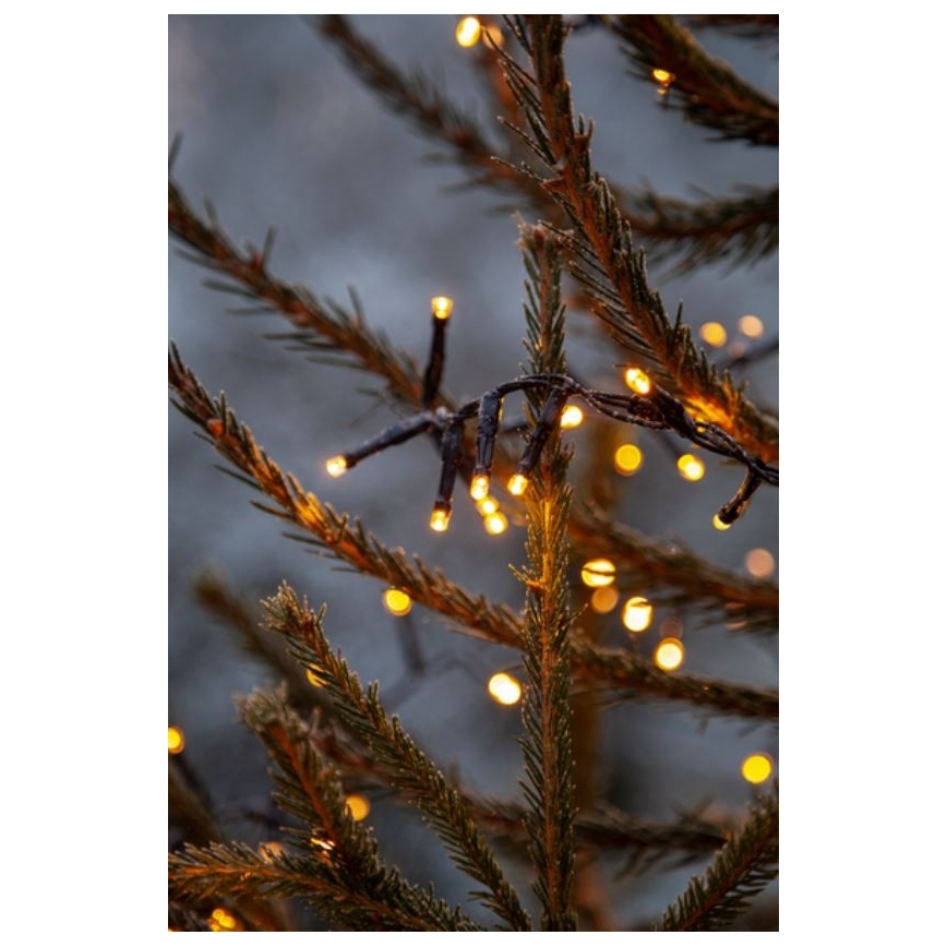 Eglo - LED Väli jõuluteemaline valguskett 1200xLED 24m IP44 soe valge