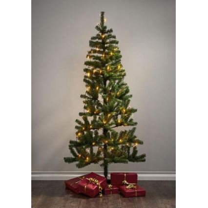 Eglo - LED väljas kasutatav jõulurida 80xLED 10,5m IP44 soe valge