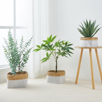 Eglo 426585 - 3-osaline dekoratiivkorvide komplekt NANAE 16x27 cm, valge/beež