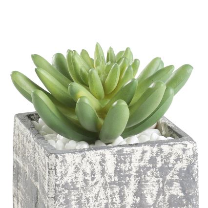 Eglo - Kunstlill lillepotiga 12x7,5 cm sukulent