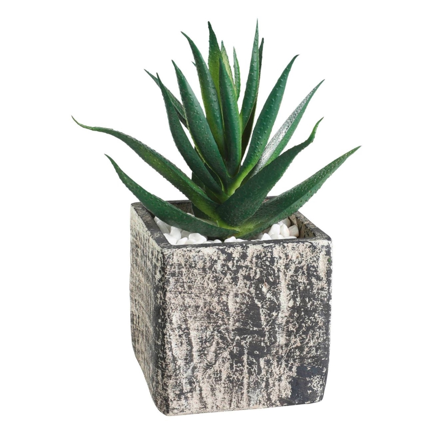Eglo - Kunstlill lillepotiga 13x9,5 cm sukulent