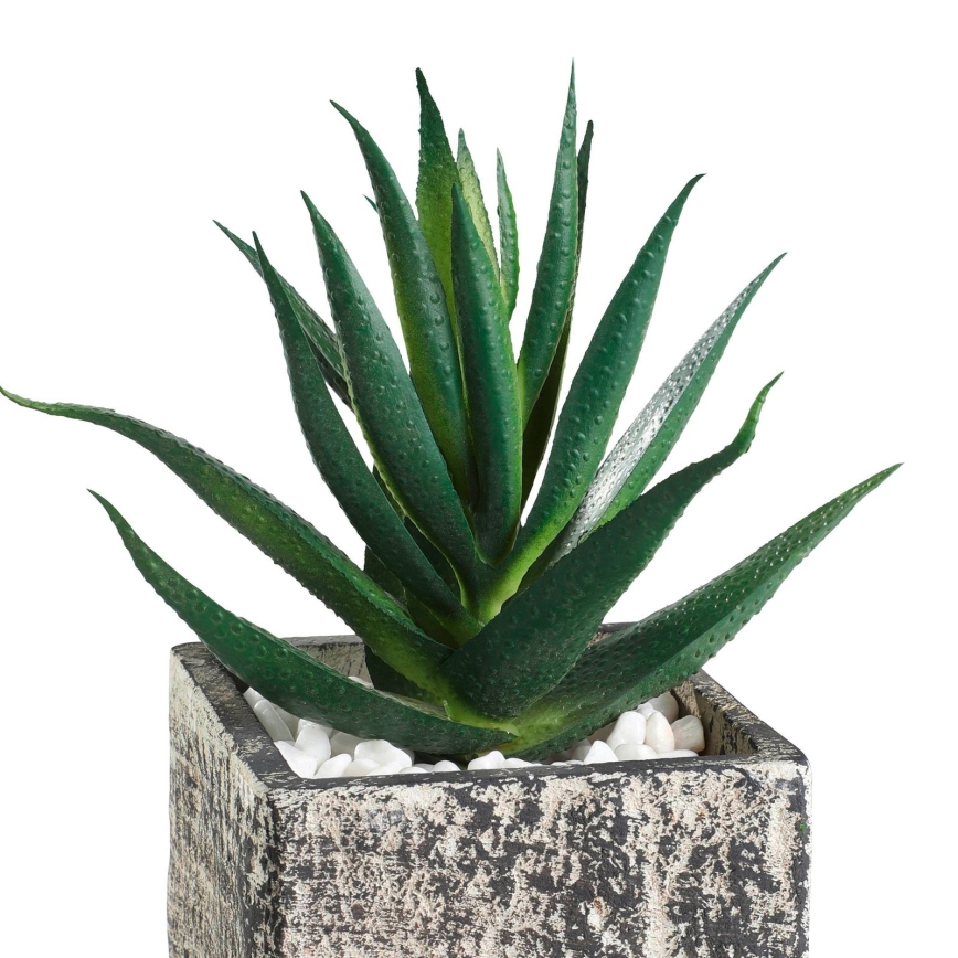 Eglo - Kunstlill lillepotiga 13x9,5 cm sukulent