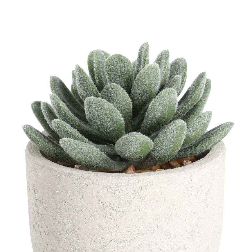 Eglo - Kunstlill lillepotiga 11x8 cm sukulent