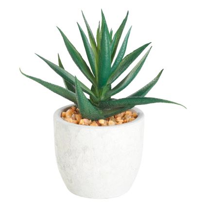 Eglo - Kunstlill lillepotiga 15,5x10 cm sukulent