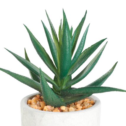 Eglo - Kunstlill lillepotiga 15,5x10 cm sukulent