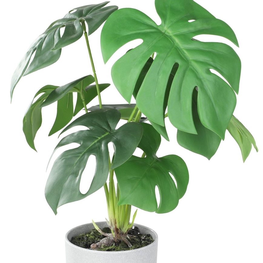Eglo - Kunstlill lillepotiga 42x30 cm monstera