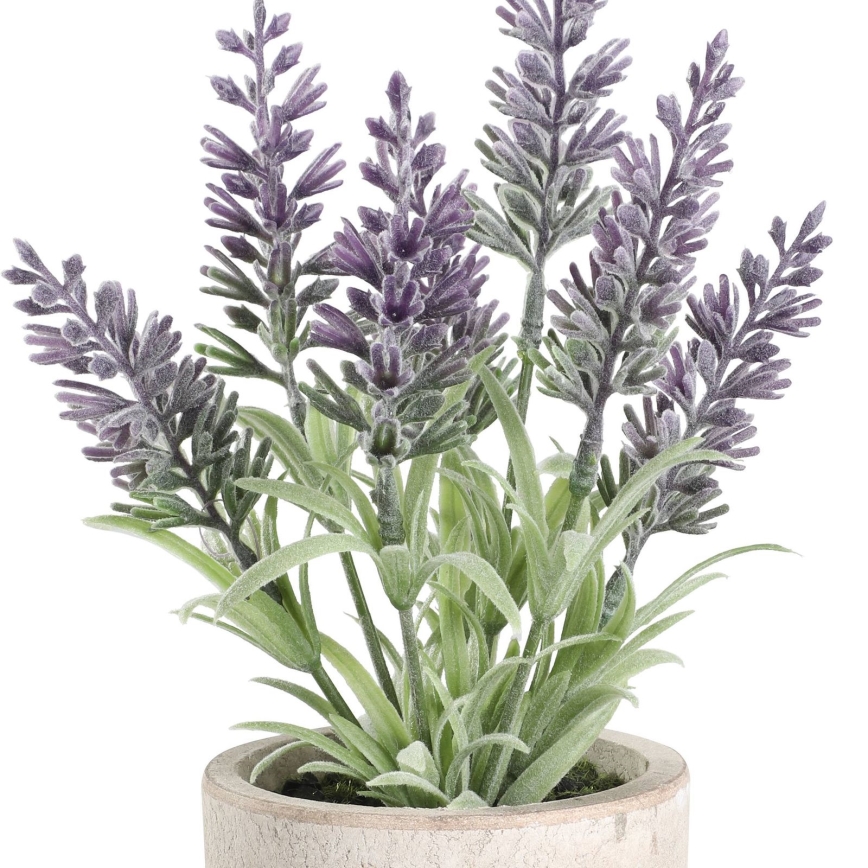 Eglo - Kunstlill lillepotiga 22x8 cm lavendel