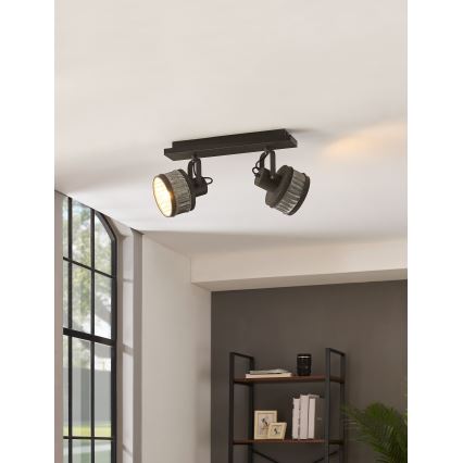 Eglo 43445 - TURROCK suunavalgusti, 2×E27, 28 W, 230 V