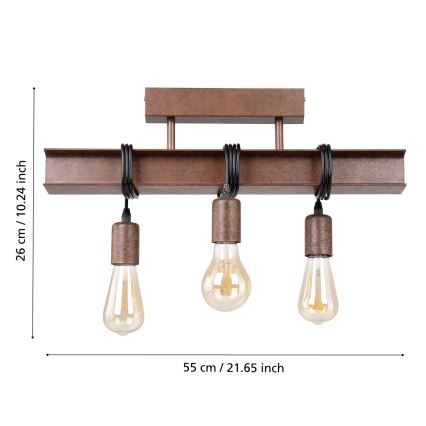 Eglo - Pinnale kinnitatav lühter TOWNSHEND 3xE27/60W/230V
