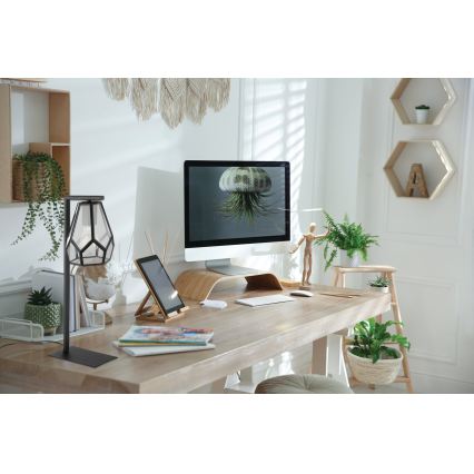 Eglo - Laualamp 1xE27/40W/230V