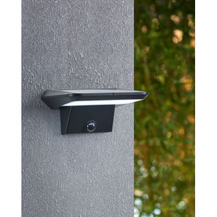 Eglo - LED Päikesepaneeliga seinavalgusti koos anduriga LED/20W/3,7V 2000 mAh IP44