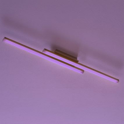 Eglo 55971 - LED RGBW hämardatav laelamp FRAIOLI-C LED/34W/230V 2700-6500K mattkroom + kaugjuhtimispult