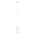 Eglo 62265 - Lühter PASCOA PRO 1xE27/60W/230V 15,6 cm valge