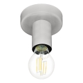 Eglo 64106 - Laevalgusti IGUALA 1xE27/40W/230V hall
