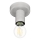 Eglo 64106 - Laevalgusti IGUALA 1xE27/40W/230V hall