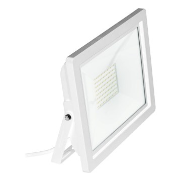 Eglo 64859 - LED Prožektor FILETTI LED/10W/230V 4000K IP65 valge
