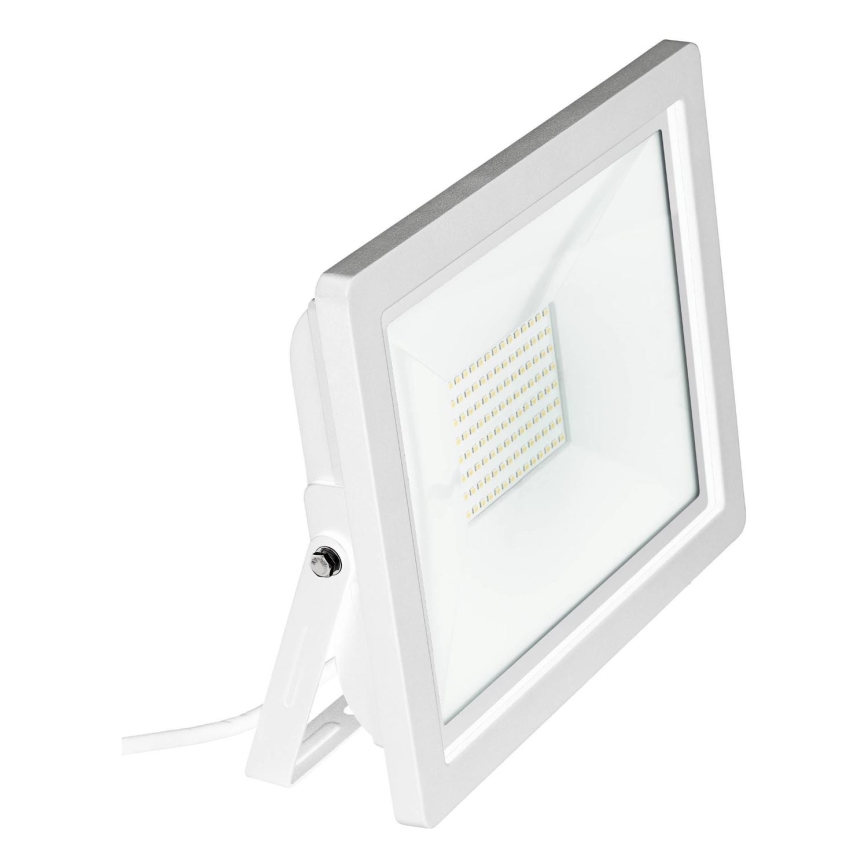 Eglo 64859 - LED Prožektor FILETTI LED/10W/230V 4000K IP65 valge