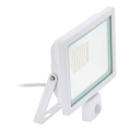 Eglo 64874 - LED Prožektor anduriga FILETTI LED/10W/230V 3000K IP44 valge