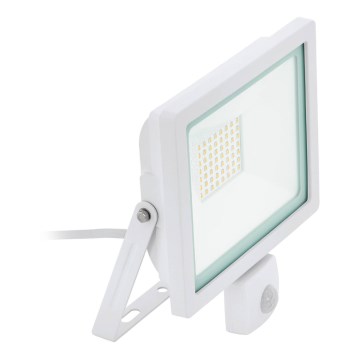 Eglo 64874 - LED Prožektor anduriga FILETTI LED/10W/230V 3000K IP44 valge