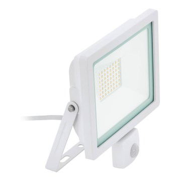 Eglo 64877 - LED Prožektor anduriga FILETTI LED/50W/230V 3000K IP44 valge