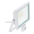 Eglo 64886 - LED Prožektor anduriga FILETTI LED/50W/230V 4000K IP44 valge