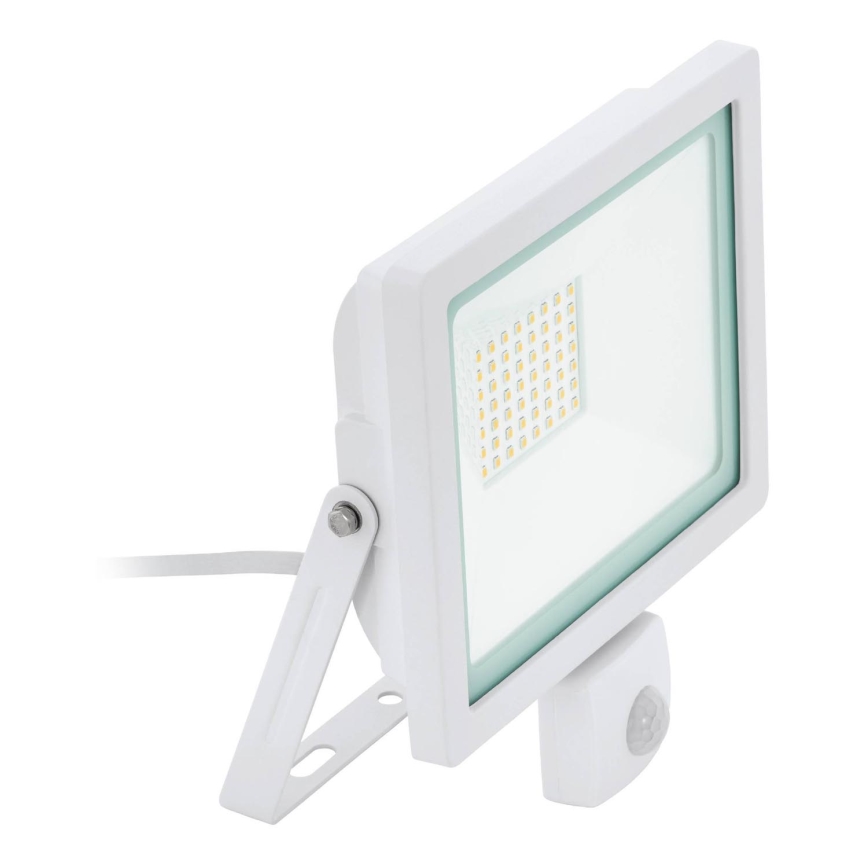 Eglo 64886 - LED Prožektor anduriga FILETTI LED/50W/230V 4000K IP44 valge