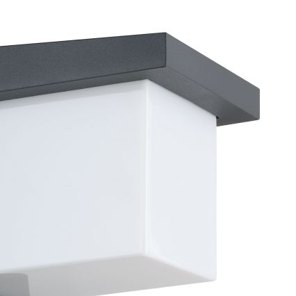 Eglo 65046 - LED Väli seinavalgusti DESELLA PRO LED/10W/230V IP54 antratsiit