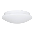 Eglo 68317 - Vannitoa laevalgusti ELLA PROJEKT 1xE27/20W/230V IP44 Ø 30 cm