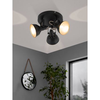 Eglo 75514 - spottvalgusti THORNTON 3xE14/28W/230V must/kuldne