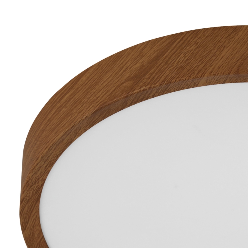 Eglo - LED Laevalgusti LED/14,6W/230V