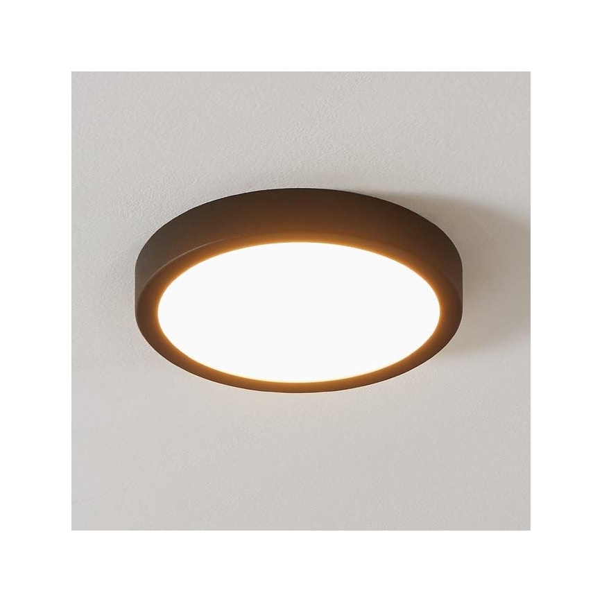 Eglo - LED Hämardatav valgusti vannituppa LED/16,5W/230V IP44 ZigBee