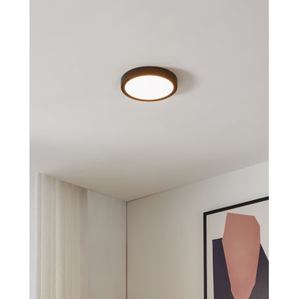 Eglo - LED Hämardatav valgusti vannituppa LED/16,5W/230V IP44 ZigBee