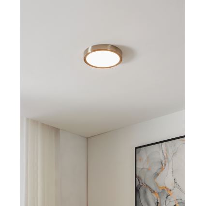 Eglo - LED Hämardatav laevalgusti vannituppa LED/16,5W/230V IP44 ZigBee