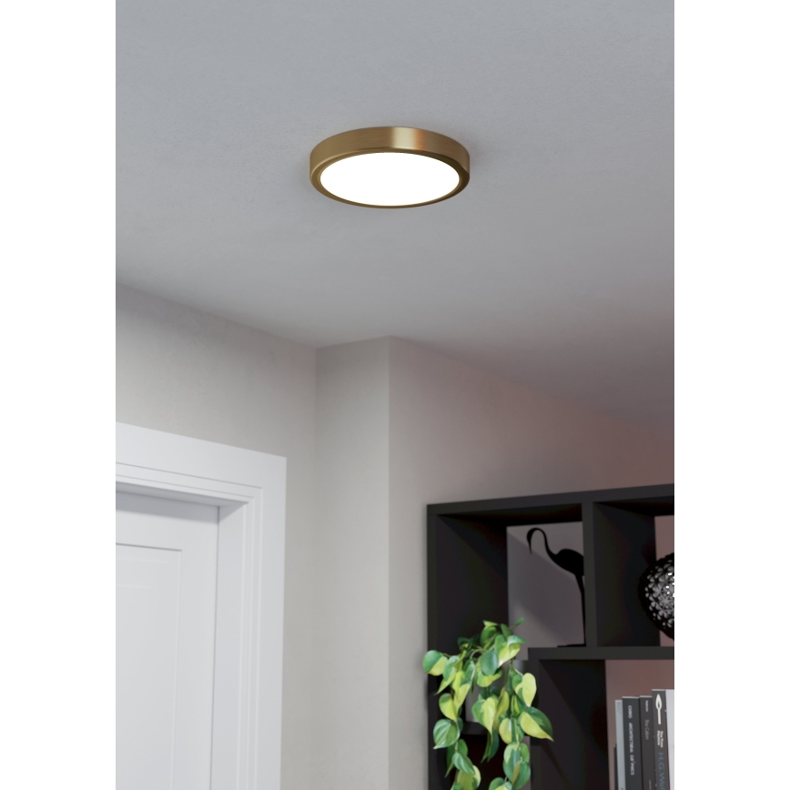 Eglo - LED Laevalgusti LED/17W/230V d. 21 cm